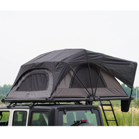 Wild Cruiser Pro 250
