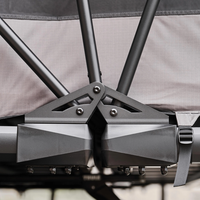Wild Cruiser Pro 250