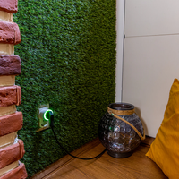 Shelly Plug S Gen3 WiFi смарт контакт с измерване