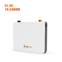 Bluesun 51.2V 200Ah LiFePO4 стенна литиева батерия за съхранение на слънчева енергия