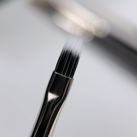 Brush Atica Gradient