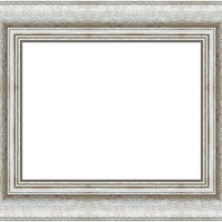 Е 7232