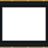 Е 5301