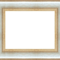 Е 6733