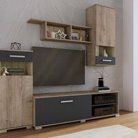 Секция Емина 2