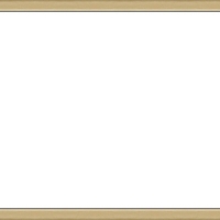 Е 1016