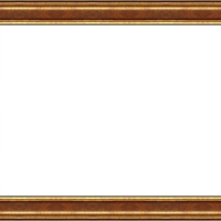 Е 3401