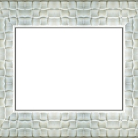 Е 8081