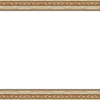 Е 3202