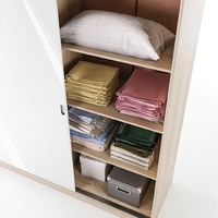 Гардероб Сити 1009 в пет цветови комбинации