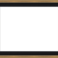 Е 3531