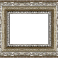 Е 11060-2