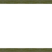 S 2038