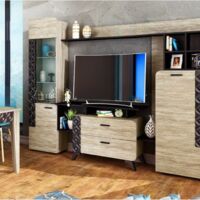 Секция Ница