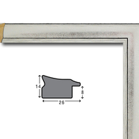 Е 2631