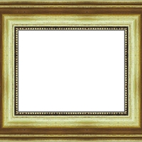 Е 8701