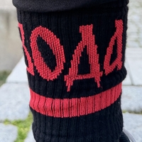 ВОЕВОДА – стабилност, сила и характер