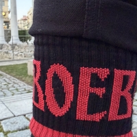 ВОЕВОДА – стабилност, сила и характер