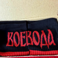 ВОЕВОДА – стабилност, сила и характер