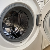 Miele Active Care W1740