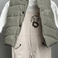 Комплект APPLE