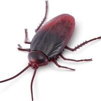 Zuru Robo Alive Хлебарка S2 /12