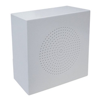 Озвучително тяло 3/6Wна 100V - Euroshine CH-503T 30400087