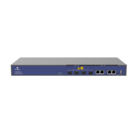 GPON OLT 2PON XG/XGS 2*XG/XGS V1600XG02-W (DP)