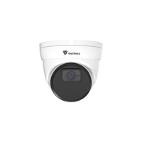 IP Камера 2MP купол 3.6mm IR-30 SD с микрофон - Raysharp RS-CH322M6KGB-TF-36PW-M