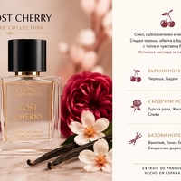 Lost Cherry