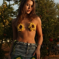 Sunflower Bra