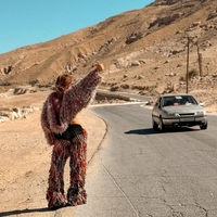 Why Knot Fringe Pants