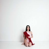 Scarlet Red Shimmer Multiway Skirt