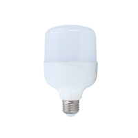 Bec LED - E27 - 5W - 6500K - 356601