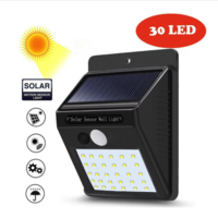 Lampa Exterior Neo™, Putere 2 W, Panou Solar, LED, 30 leduri