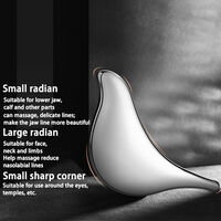 Aparat de ingrijire faciala prin masaj si lifting Neo™, V Shape, cu trepte de caldura, forma aerodinamica, gri