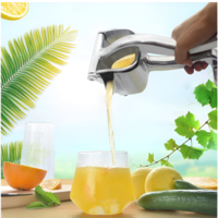 Storcator de Fructe Neo™ pentru Citrice din Otel Inoxidabil, Argintiu