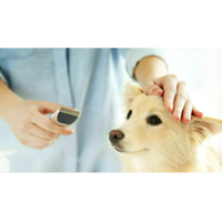 Masina de Tuns pentru Animale de Companie, 4 Capete Interschimbabile, Neo™