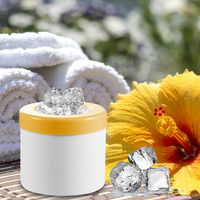 Forma Gheata Pentru Racirea Bauturilor, Neo™ Ice-Ice-Baby®, din Silicon Fara BPA, cu Capac, Alb-Galben
