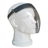 Viziera profesionala protectie faciala, Neo PRO, etansa, transparenta, usoara, dezinfectabila, reutilizabila