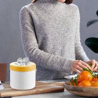 Forma Gheata Pentru Racirea Bauturilor, Neo™ Ice-Ice-Baby®, din Silicon Fara BPA, cu Capac, Alb-Galben