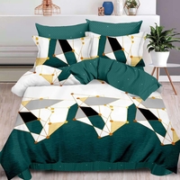 Lenjerie pat dublu, 2 persoane, cearceaf cu elastic, fineţ, 6 piese, alb-verde