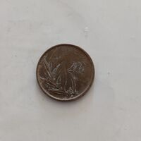 20 f, 1982