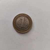 1 türk lirasl, 2009