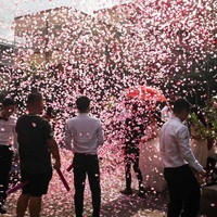 Tun Confetti, Flippy, Best Wishes, Confetti Inimioare si Paiete, 60 x 5 cm, Roz Auriu