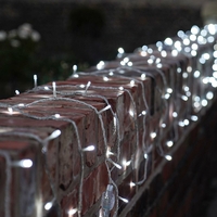 Instalatie de Craciun cu Baterii Tip Liniar, 2 jocuri de lumini, Fir Transparent 3 m 30 LED -uri, Alb Rece