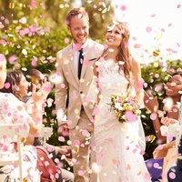 Tun Confetti, Flippy, Best Wishes, Confetti Inimioare si Paiete, 60 x 5 cm, Roz Auriu