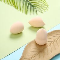 Set Buretei Machiaj, Flippy, Premium, nude, 3 bucati