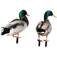 Set 2 Decoratiuni de Gradina, Flippy, Model Rata, Tip Placa, Grosime 3 mm, Fata-Verso, Multicolor