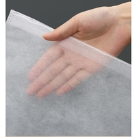 Set 50 de Saci de Depozitare Incaltaminte, Flippy, de Protectie, pentru Voiaj, Netesut, Rezistenti la Praf, Protectie Solara, Anti-Ingalbenire, 48x32 cm, Marime Mare, Transparent